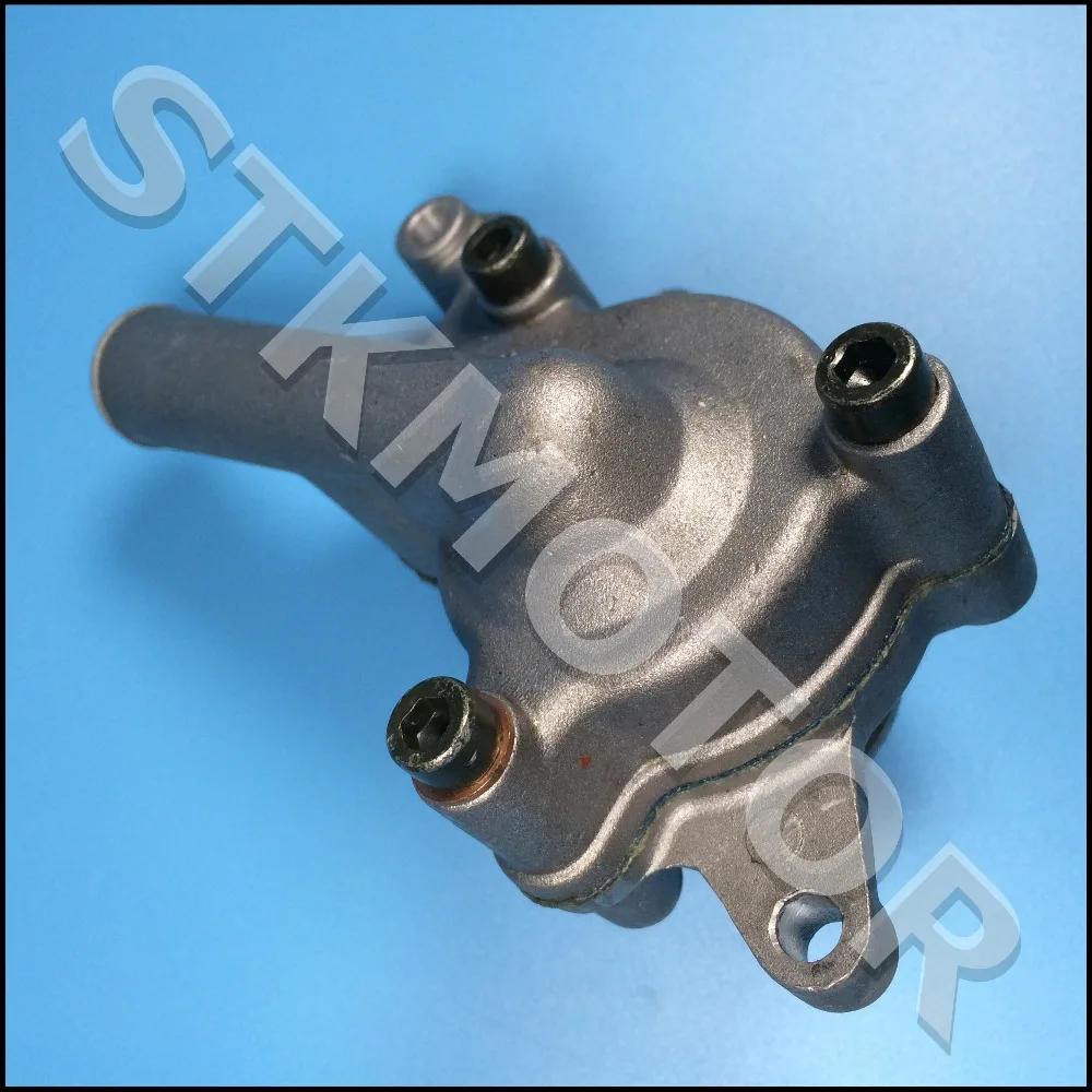 Водяной насос в сборе для Stels 300B 300CC ATV Quad Parts LU019252 | Автомобили и мотоциклы