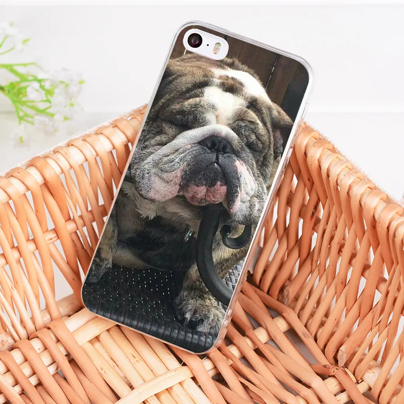 Чехол с английским бульдогом большим языком для телефона iphone 11 12 Pro XR XS Max 8 7 6 6S Plus X