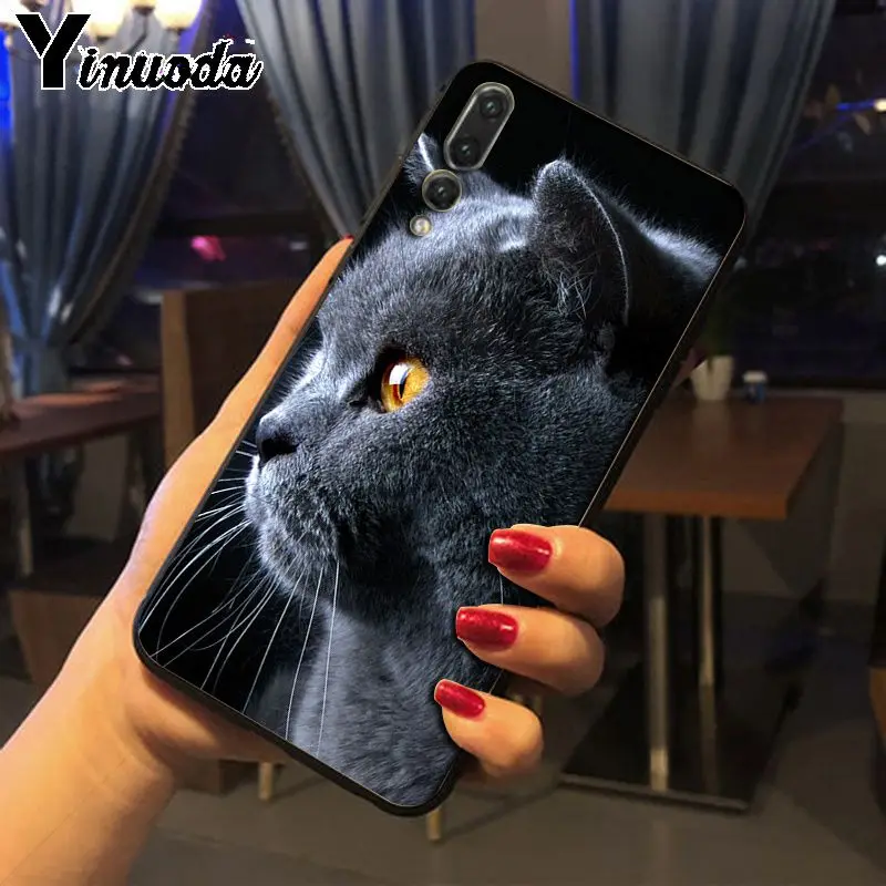 Yinuoda Британский короткошерстный чехол для телефона с кошкой Huawei P20pro mate10lite p9 p10plus