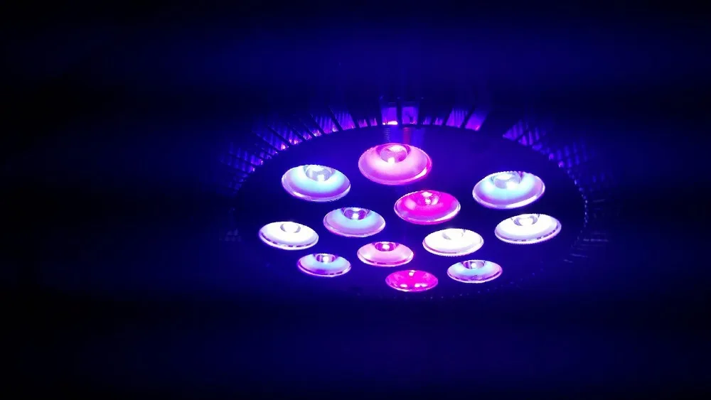 Светодиодная лампа полного спектра для коралловых рифов 12 Вт|led nano reef|nano led reefnano reef