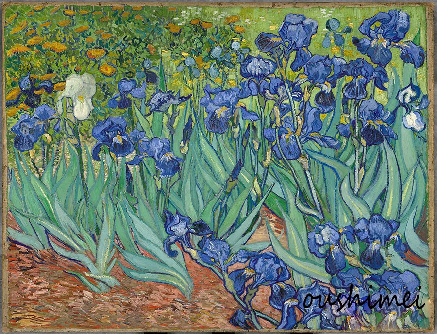 Skillful Painter Hand Painted Reproduction Dutch Painter Van Gogh Oil Painting on Canvas Home Decor Irises Painting Landscape