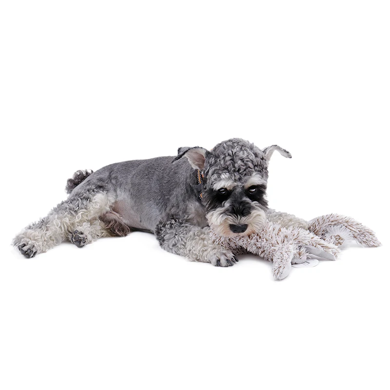 Funny Pet Dog Squeak Toys Stuffed Animals Pet Toys Plush Puppy Honking Squirrel for Dogs Cat Chew Squeaker Squeaky Toys for Pets