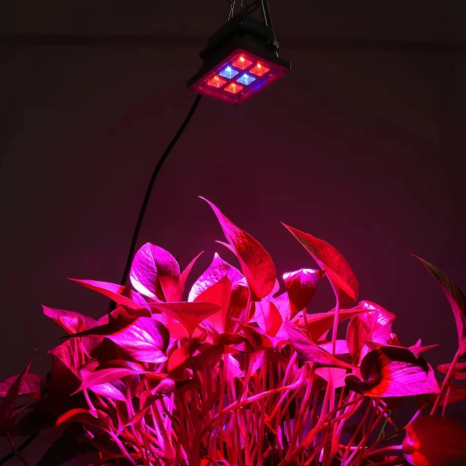 Светодиодная лампа роста растений LED прожектор AC 220 V IP65 Водонепроницаемый