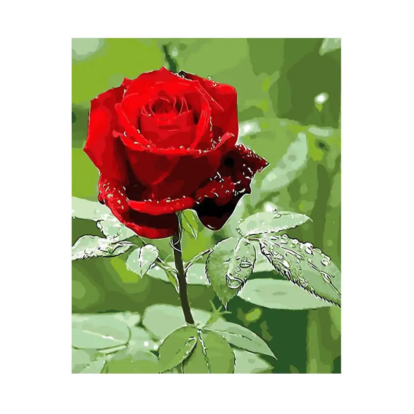 rose painting 12 RIHE Подсолнух абстрактная Цветочная живопись Diy Цифровая Роза живопись по номерам Современная Лилия настенная художественная картина для домашнего декора 40x50 см - Цвет: rose painting 12