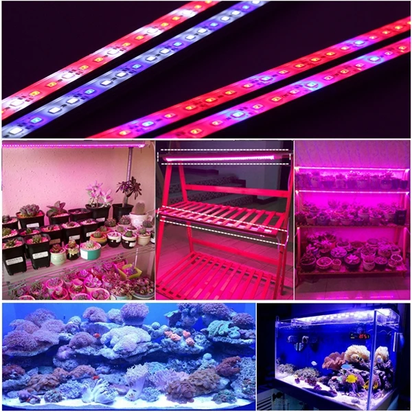Jiguoor 12 в пост. Тока 6 Вт 50 см 5630 SMD красный: синий 3:1/5:1 жесткая лента для выращивания