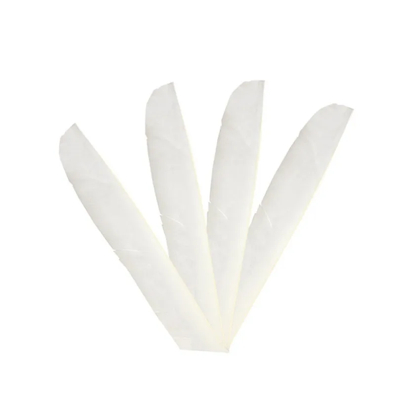 color 12 30pcs Turkey Arrow Feathers Full Length Irregular Feather Archery DIY Handmade Natural Fletching Left Wing Shooting Accessories - Цвет: color 12