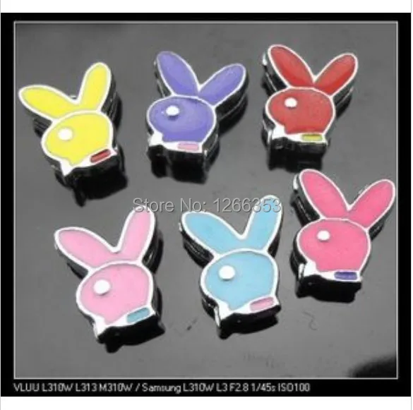 100pcs 8mm Rabbit Slide Charms Fit Pet Dog Cat Tag Collar Wristband pandent accessories belts|belt boss|charming beardbelt photography |