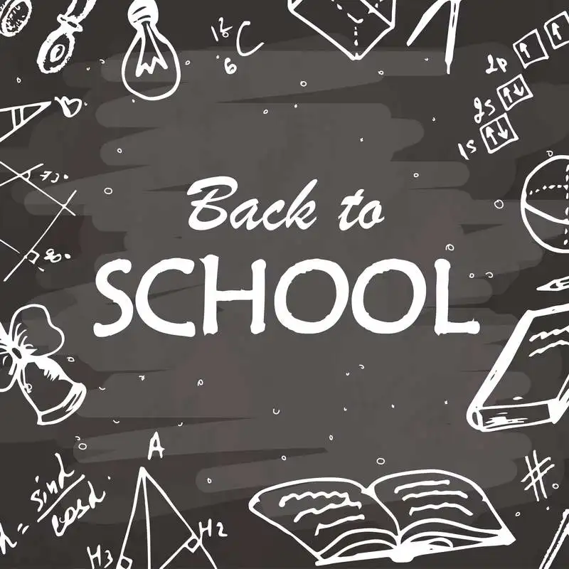 

Custom Photography Background Backdrops Back to School Theme Photo Background Studio Props for Kids Digital Photografia