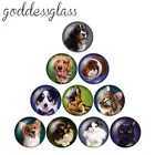 Новинка, круглые стеклянные кабошоны ZB0611 для собак, кошек, морской свиньи, животных, 10 шт., 12 мм, 18 мм, 20 мм, 25 мм, демонстрация плоской спины