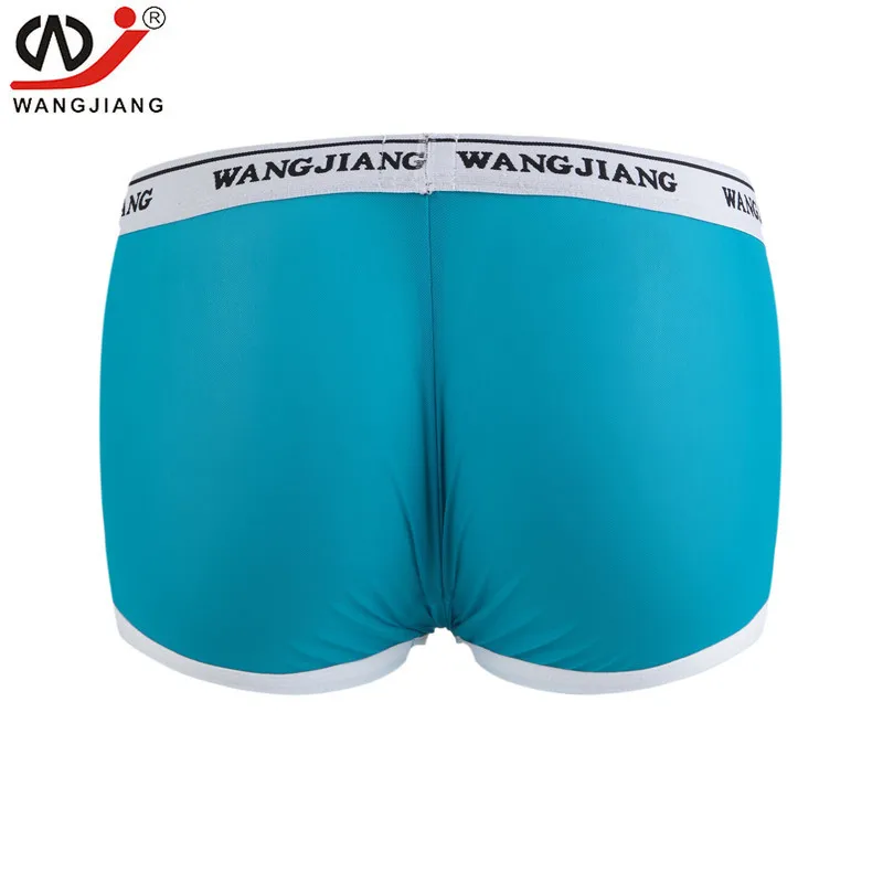 WJ мужское однотонное нижнее белье с низкой талией марлевые прозрачные U-выпуклые