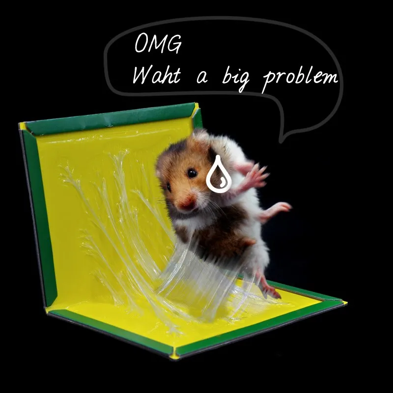 

10PCS /LOT Non-Toxic Mice More and stranger Glue Traps Board Trapper Max Sticky Glue Rodent Mouse Rat Snake Bugs