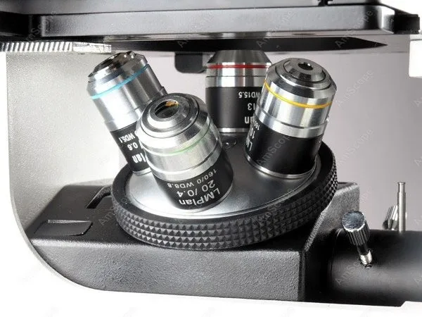 Инвертированный Тринокулярный металлургический микроскоп-AmScope поставляет 50X-1250X