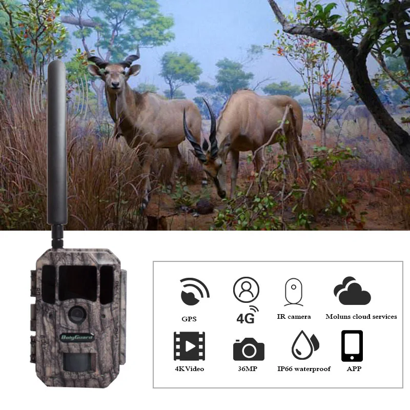 Bolyguard охотничья камера 4G gps Trail камера ночного видения MMS SMS Черный ИК 36MP 100ft фото ловушки тепловизоры Дикая камера