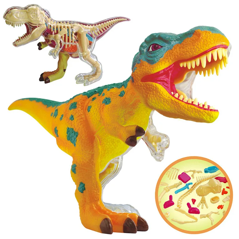 

4D Dinosaur Anatomical Assembling Model Tyrannosaurus Rex Triangular Dragon White Shark Simulation Toy