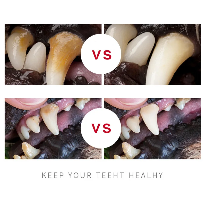 Ручка для отбеливания зубов домашних животных 2 шт.|Лотки| |