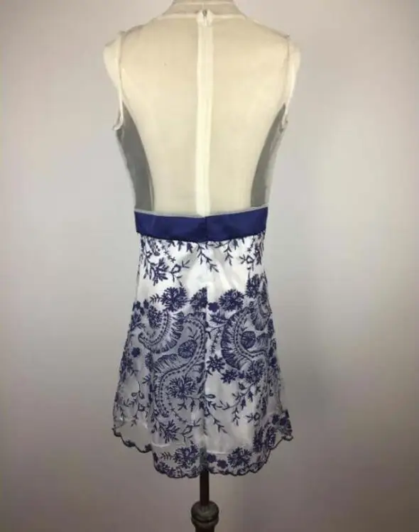 Inngraee 2017 Women Lace Dress Summer Sexy Sleeveless O-neck Transparent Party Chinese Style fNS8420 | Женская одежда