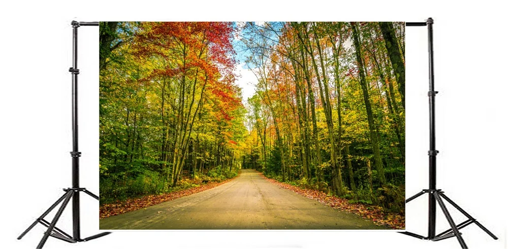 Laeacco Autume желтые Живописные фоны для фотосъемки на заказ фотостудии | Электроника