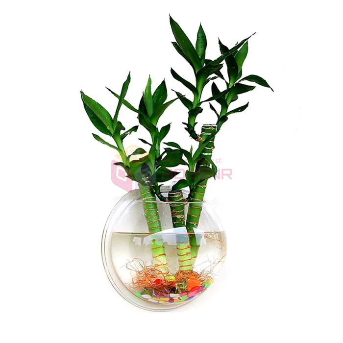 Креативные золотые рыбки Акриловые Настенные рыбные миски аквариумные