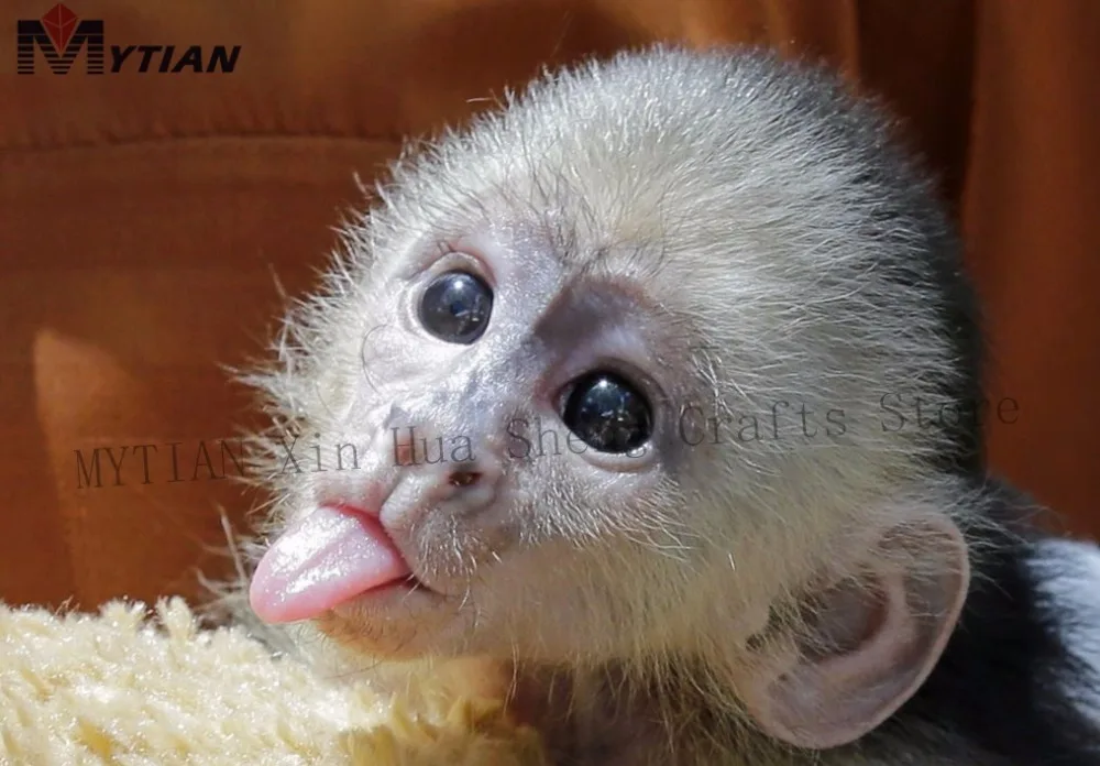 MYTIAN DIY Полный Круглый Набор алмазной вышивки животных украшение для дома