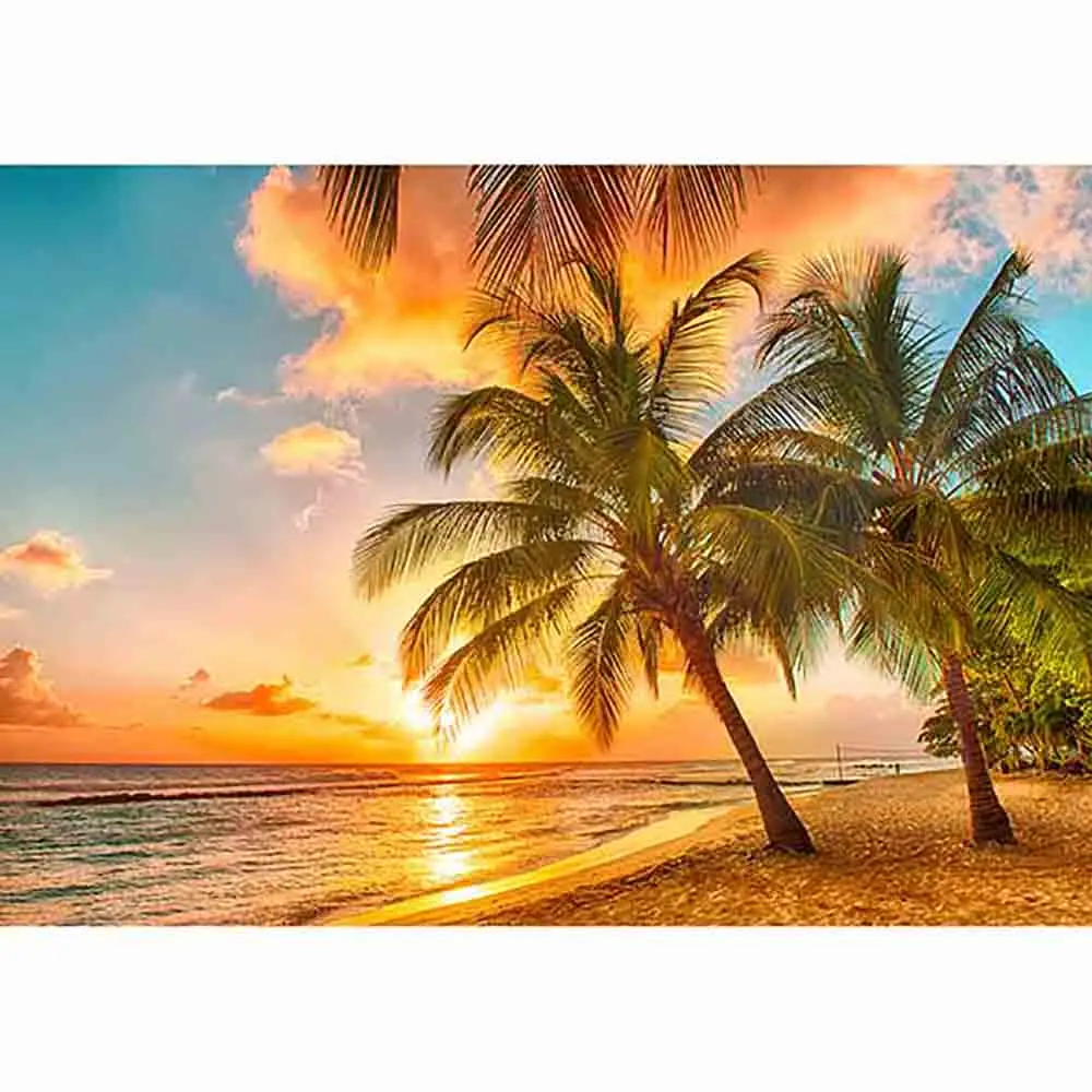 Allenjoy тропический Летний Закат фон для фотосъемки море океан пляж Плам дерево