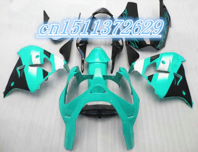 Dor Зеленый Черный ABS обтекатель для Kawasaki 2002 2003 ZX 900 zx9r Ninja 9R 02 03 ZX9 R D|abs fairing|fairings for