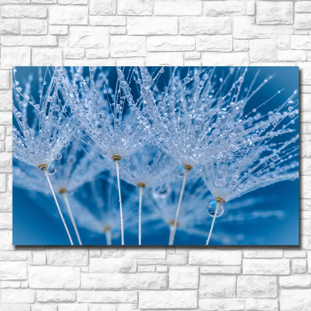 Fashion Printing Plant with Dew Oil Painting Home Decor on Canvas Modern Wall Art Print Poster Unframed | Дом и сад