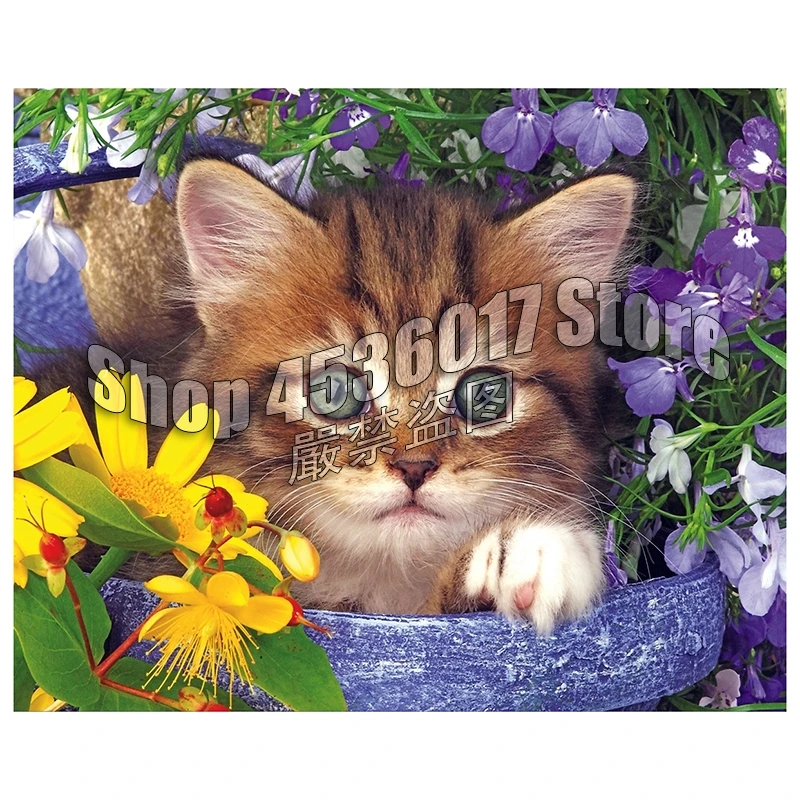 

100% Алмазная 5D мозаика «сделай сам», садовые цветы, кошки, алмазная живопись ручной работы, вышивка крестиком, алмазная вышивка, шаблоны Стра...