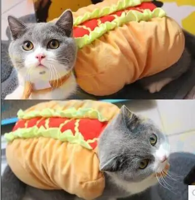 

10pcs Halloween Party festival Cat Clothes Teddy Puppy Dog hamburger Clothes Winter Hot Dog Pet Winter vest Halloween decoration