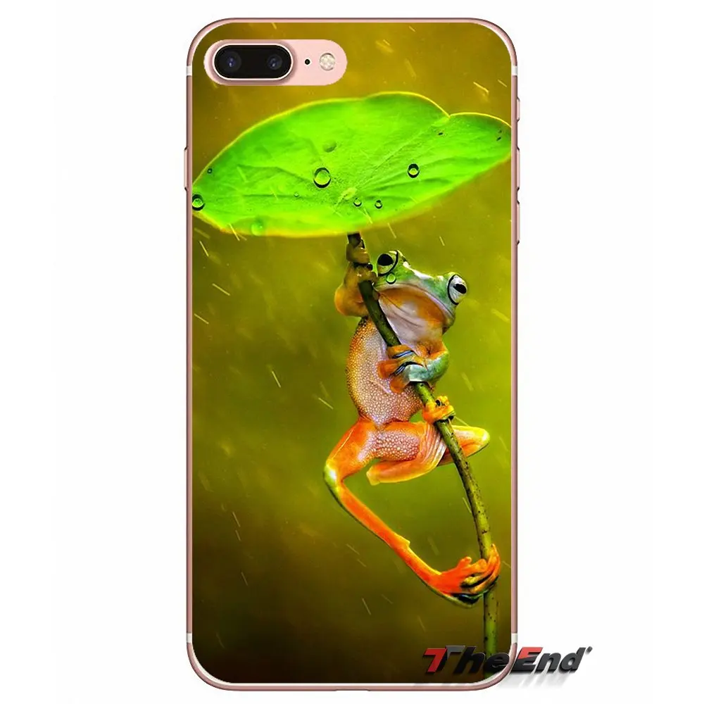 Силиконовый чехол для iPhone X 4 4S 5 5S 5C SE 6 6S 7 8 Plus Samsung Galaxy J1 J3 J5 J7 A3 A5 2016 2017 Frogs A rainbow frog Green