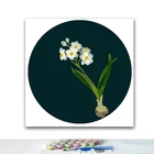 DIY картинки для раскраски по номерам в различных расцветках с применением усовершенствованных биотехнологий Античная Жасмин кружевными цветами рисунок картины для дома