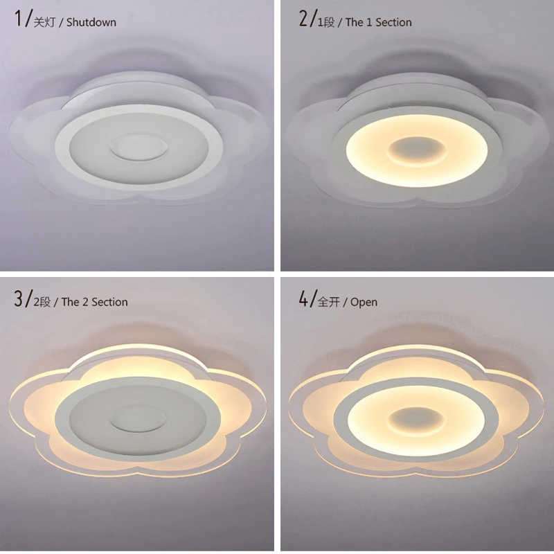 

Ultra-thin Modern Ceiling Light LED Flower Shape Ceiling Lamp Living Room Lights Ceiling Mounted Fixture