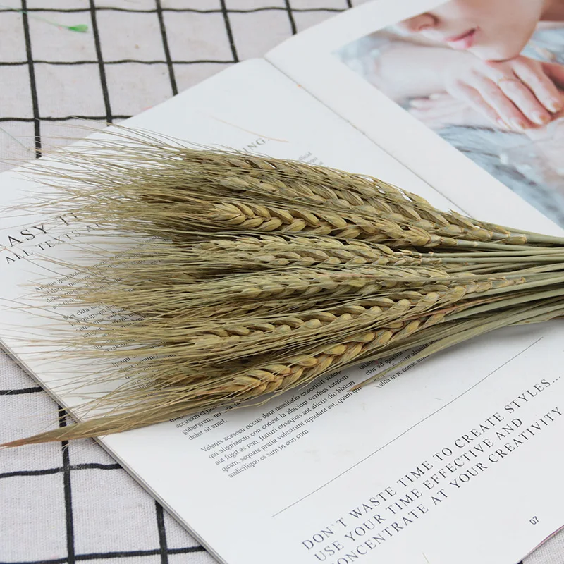 25Pcs/lot Real Wheat Ear Flower Natural Dried Flowers for Wedding Party Decoration DIY Craft Scrapbook Home Decor Bouquet | Дом и сад