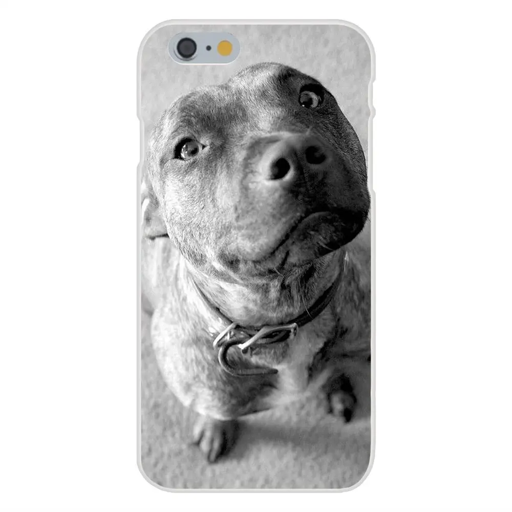 Pitbull Dog Для Galaxy J1 J2 J3 J330 J4 J5 J6 J7 J730 J8 2015 2016 2017 2018 mini Pro Специальное предложение