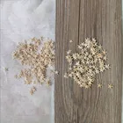 HappyKiss 100 шт. 1-2 см 2-3 см мини-Морская звезда Ремесло Украшение натуральное ремесло морские звезды DIY пляж коттедж свадебный Декор Горячая Новинка