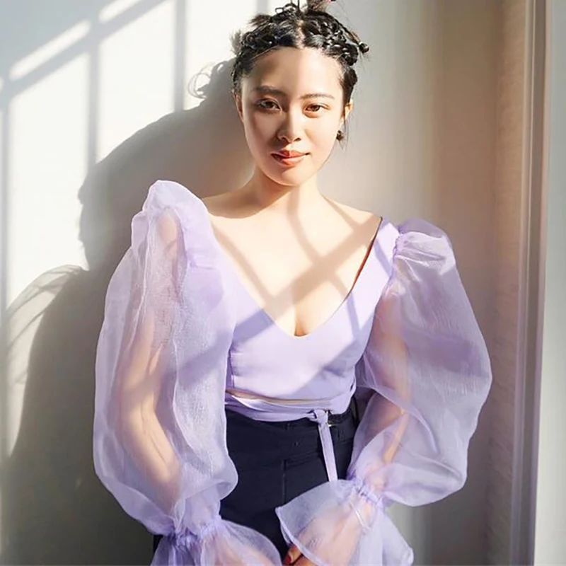 Милый Фиолетовый укороченный топ с глубоким v-образным вырезом сетчатая пышная