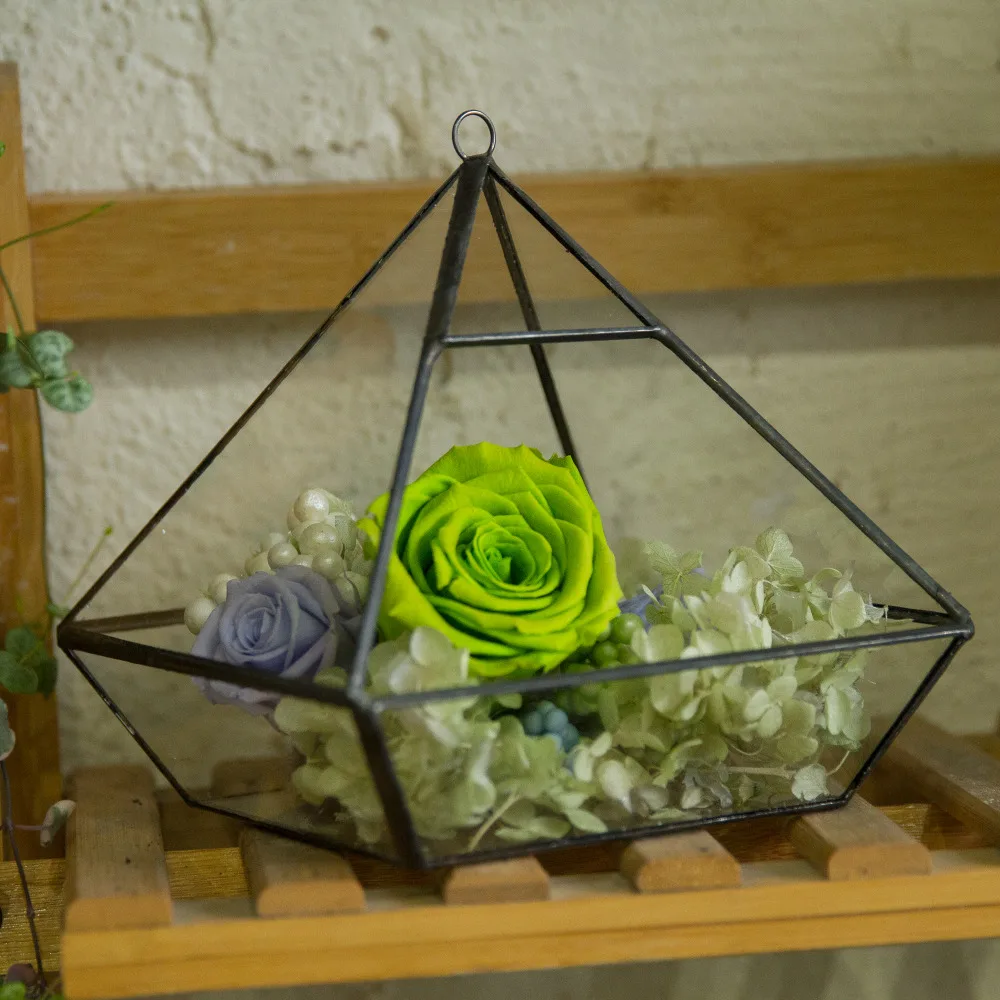 

NCYP Garden 15cm Hanging Glass Container Geometric Terrarium Succulents Moss Flower Planter Pot Landscape Decoration Terrarium