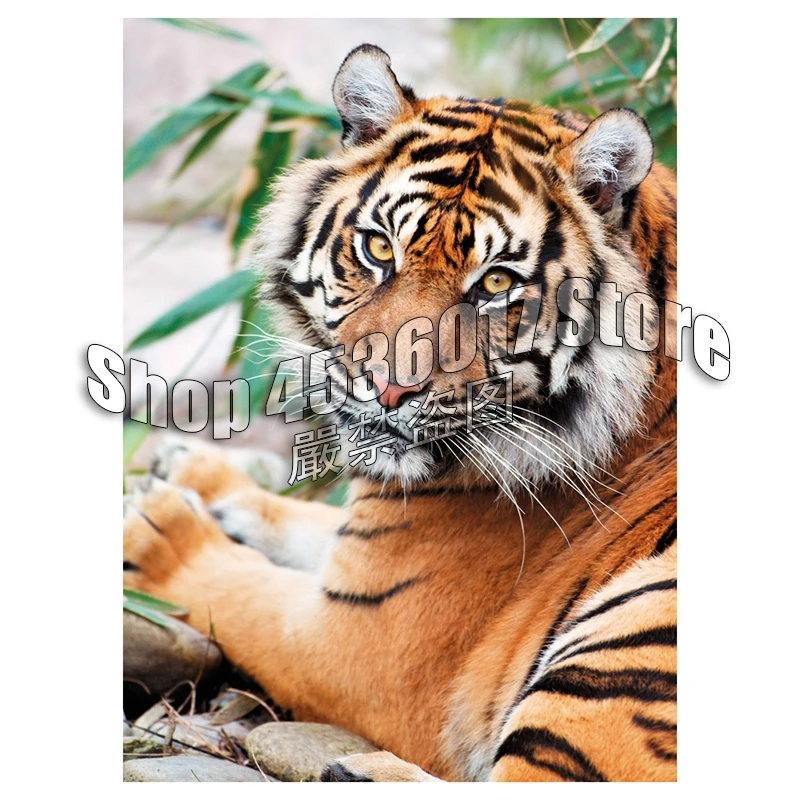 

Full Diy Diamond Painting Cross-Switch Sumatran Tiger animals 3D Diamond Embroidery Rhinestones Paintings Mosaic Decor Christmas