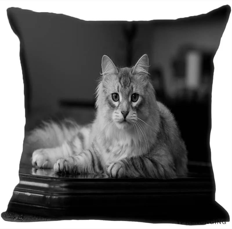 Square Pillowcase Изготовленный На Заказ спящий котенок квадратная подушка чехол на молнии Наволочка Чехол 35X35,40x40,45x45 см(с одной стороны) 180522-02-24 - Цвет: Square Pillowcase