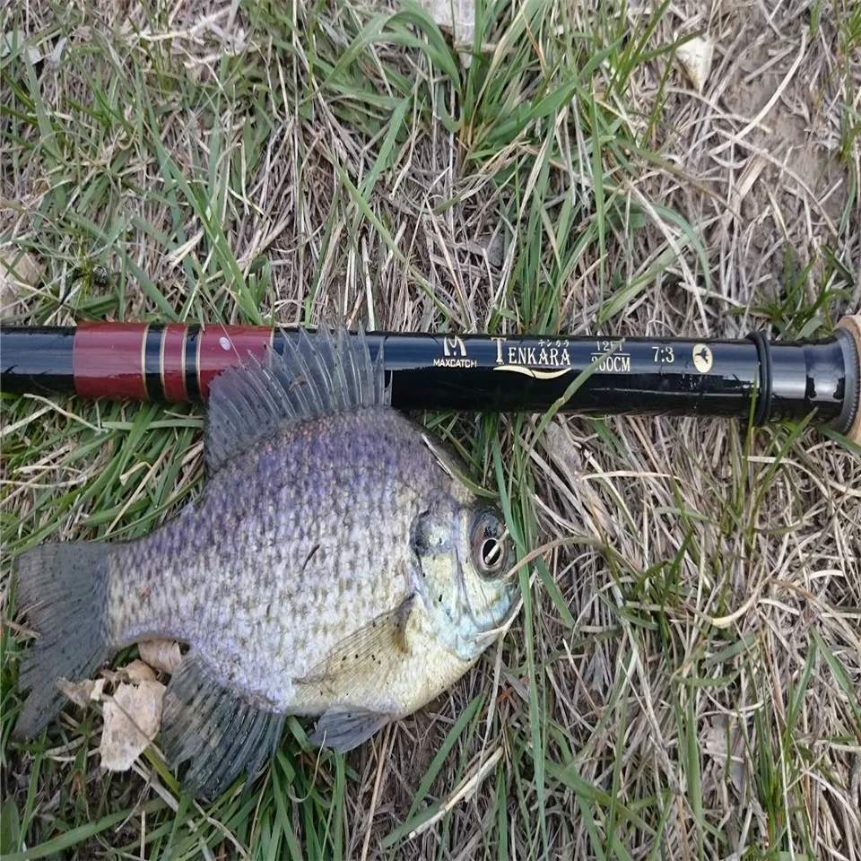 Maximumcatch/11/12/13FT телескопическая удилище Tenkara Fly удочку с одной Запасной наконечник