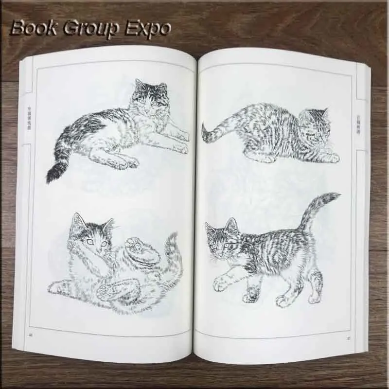 Книга раскраска для детей и взрослых 94 страницы|painting drawing|animal drawingsanimal painting |