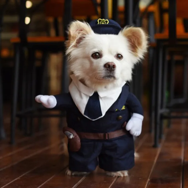 4 узора маленькие домашние животные кошки собаки Косплей Костюм полярный флис