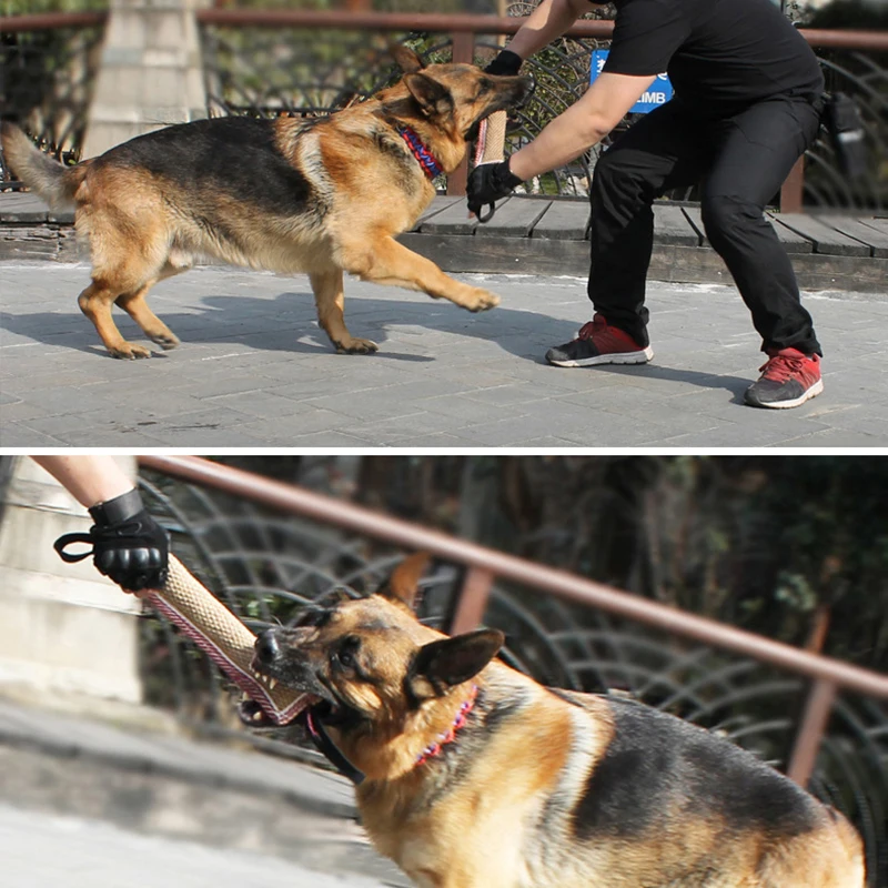 Тренировочные инструменты для собак Hoomall с ручками интерактивные веселые