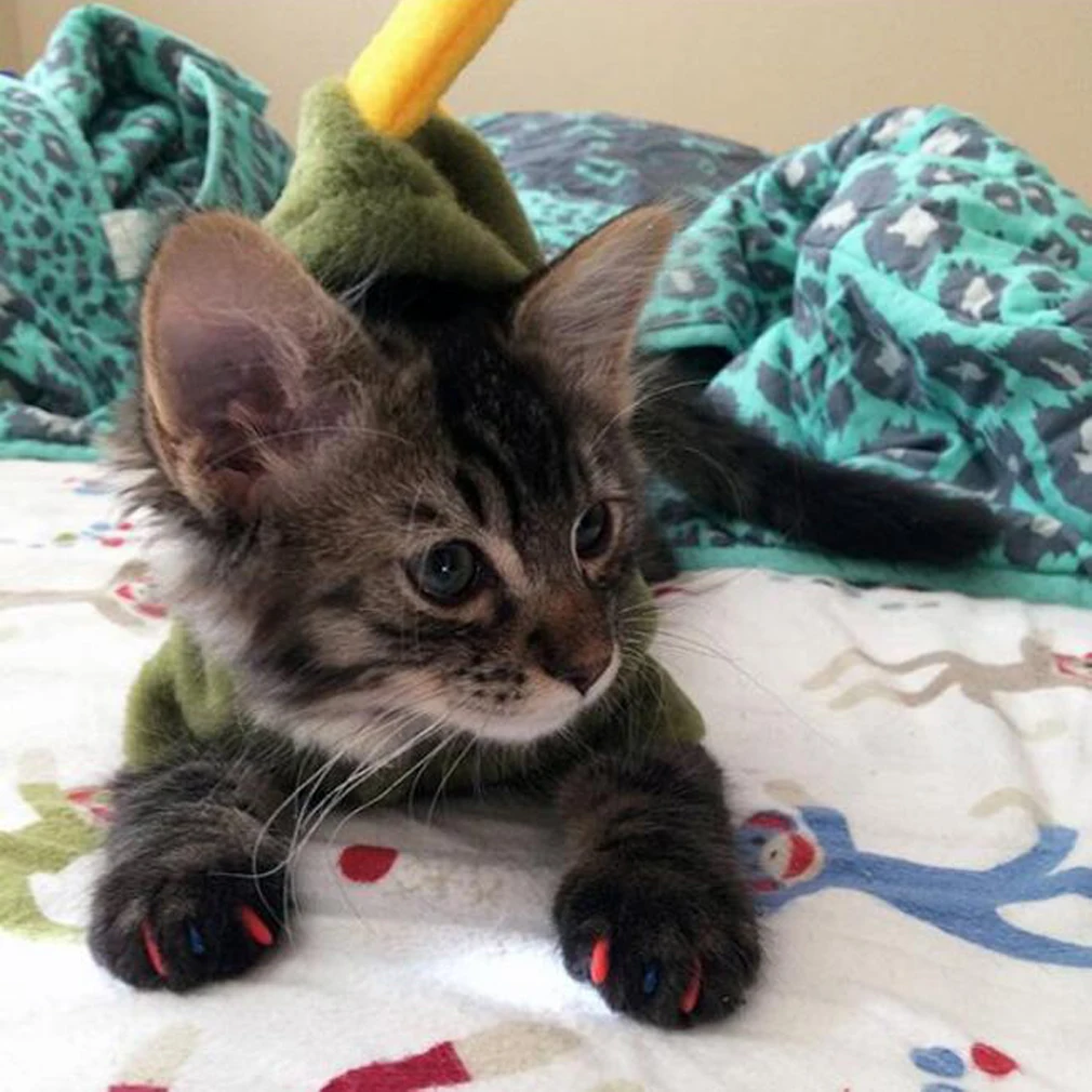 20 шт./компл. Мягкий ногтей крышки для кошачьи когти* Purrdy лапы Котенок Маленький средних и больших размеров