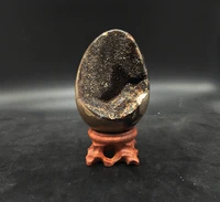natural dragon septarian geode egg mineral specimen