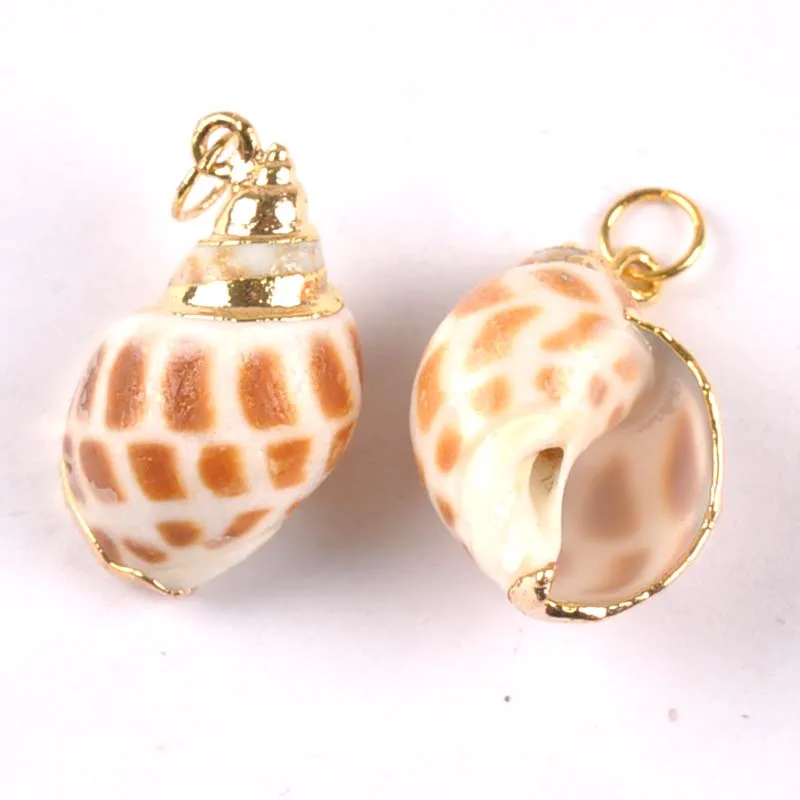 5 шт. спиральные ракушки с позолотой 18-30 мм | Дом и сад