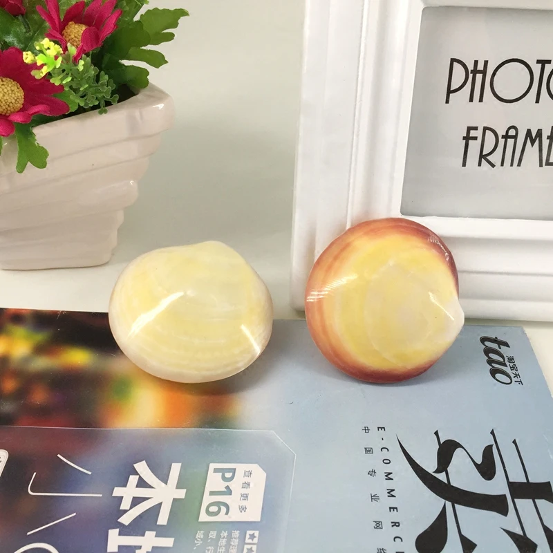 Натуральный conchas Рождественский подарок океан Декор порошок светильник ракушки