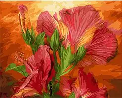 

Cioioil-T607 красные цветы Раскраска по номерам Художественная Картина на холсте настенные картины для гостиной