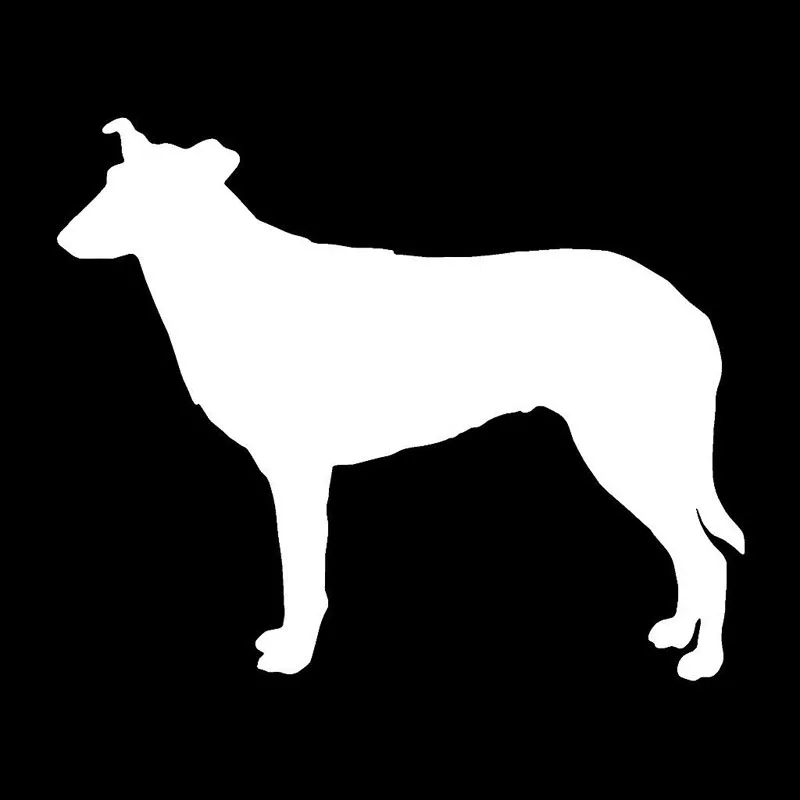 

15.5*12.7CM Smooth Collie Pet Dog Car Sticker Cute Cartoon Animal Body Decals Decorative Accessories C6-0578