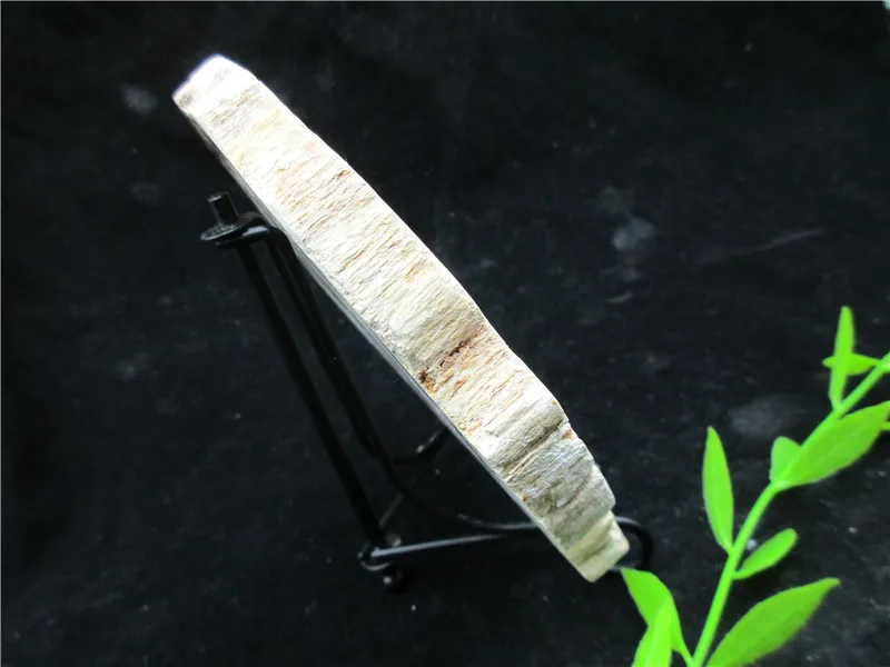 Natural Wood Root Fossil Crystal Stone Rock Healing Gemstone Specimen Mineral Gem For Collection | Дом и сад