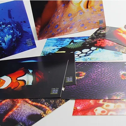

30pcs deep sea photography style card multi-use as Scrapbooking party invitation DIY Decoration gift card message card postcard